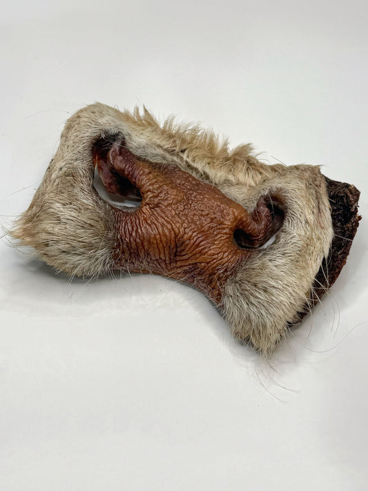 Dehydrated Cow Snout