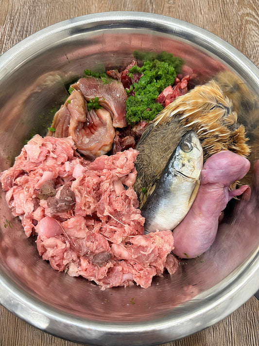 What Does Species Appropriate Feeding Mean?