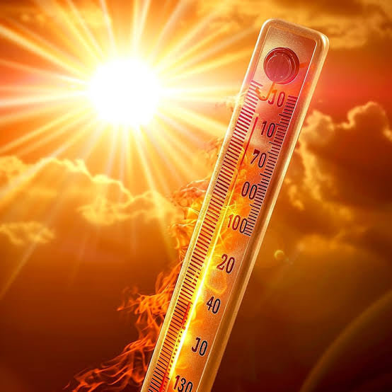 Beating the Heat: How to Keep Your Dog Busy During Summer Heat Waves