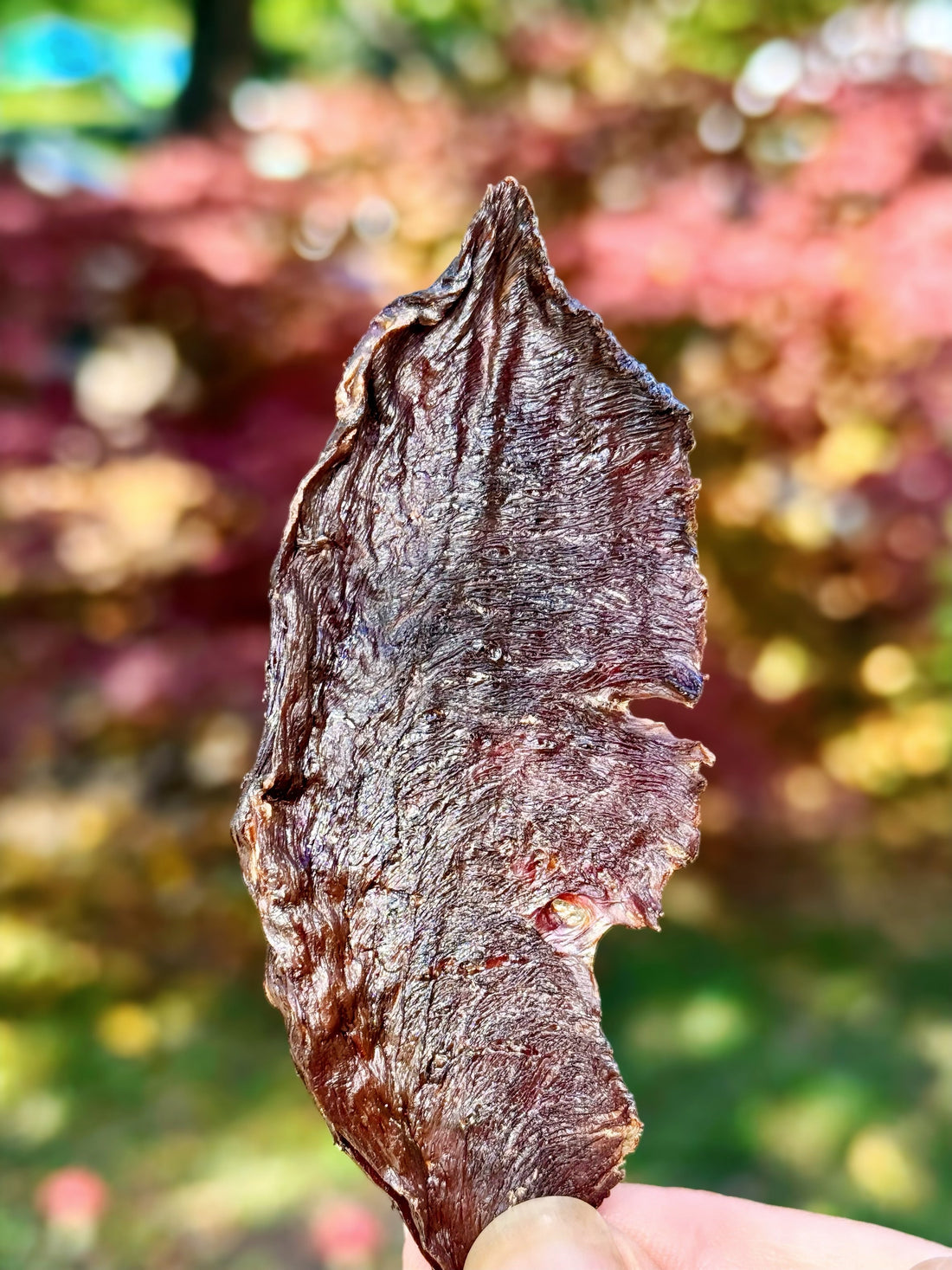 From Farm to Treat: How Dehydrated Chews Are Made