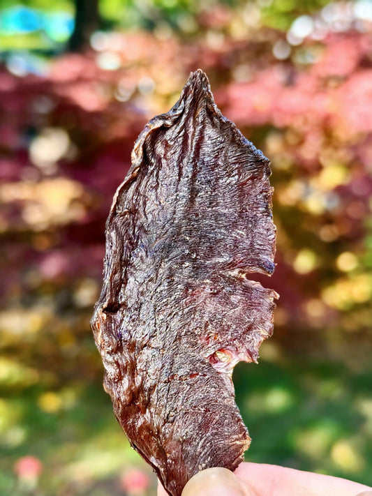 From Farm to Treat: How Dehydrated Chews Are Made