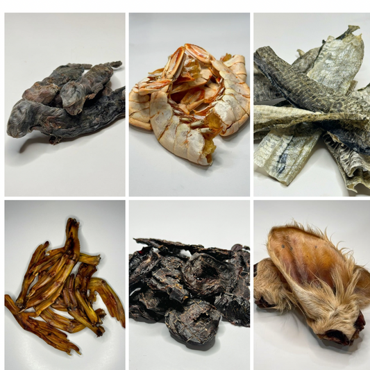 Why Single-Ingredient Treats Are So Popular With Dog Owners?