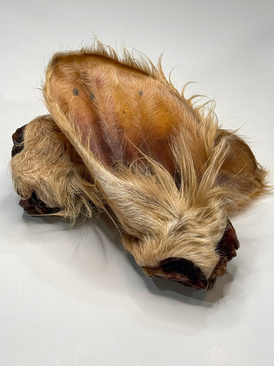 Dehydrated Cow Ear