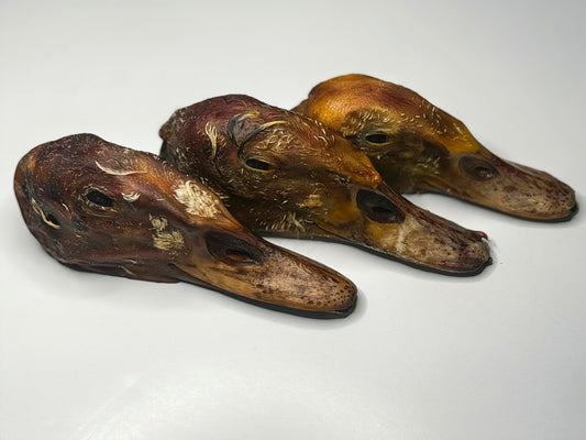 Dehydrated Duck Heads